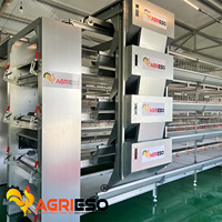 Cage à poules automatique Agrieso de type H pour l'alimentation et l'abreuvement, galvanisée à chaud, équipement d'alimentation pour poules pondeuses