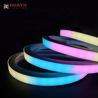 Bande LED néon RGB 1616, expression de couleur pour les contrats de rénovation d'ambiance des salles d'exposition culturelle et des parcs à thème commerciaux