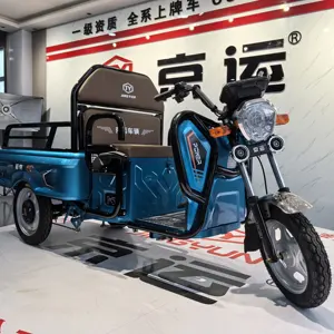 500W China Hot Selling Volwassen Driewielige Fiets Elektrische Driewielers Oudere Mensen Vrije Tijd Auto Elektrische 3 Wielen Fietsen