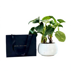 Bolsa de papel negra para compras con asa plana, estampado dorado, reutilizable, estilo de lujo, bolsa comercial, proveedor de bolsas de papel de Vietnam - Product Image 1