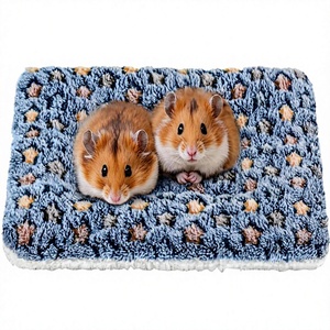 <span class=keywords><strong>2</strong></span> tapis de lit rectangulaires lavables pour cochon d'Inde et lapin, coussin chaud pour petits animaux, tapis de lit pour chinchilla, hérisson, furet, lit d'hiver pour animaux de compagnie - Product Image 1