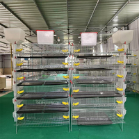 Cage d'élevage de cailles haute capacité, système de rayonnages galvanisés à plusieurs niveaux pour la production d'œufs et de viande