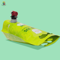 Personnalisé 750ml 1L, 1.5L,2L,3L,5L Double Fond Stand Up Pouch avec Poignée Trou et Robinet Stand Up Pouch pour Boissons