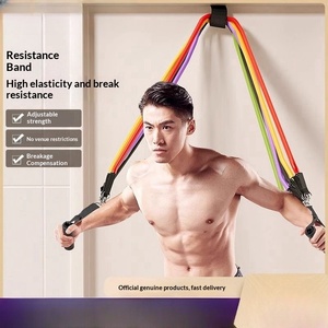 Ensemble de 11 bandes d'exercice réglables avec ancre de porte, sangles de <span class=keywords><strong>cheville</strong></span> et poignées, pour fitness à domicile, bandes de résistance - Product Image 1