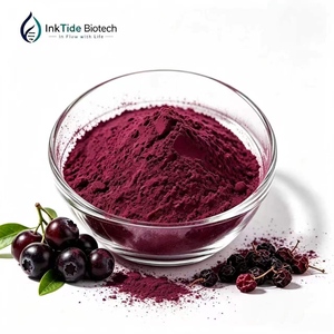 Approvisionnement en gros d'usine : Poudre d'extrait de baie d'aronia fine, extrait de sureau noir pour boissons, aliments et cosmétiques - Product Image 1
