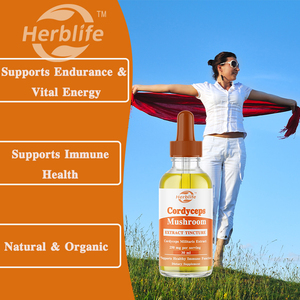 Venta al por Mayor OEM - Personalizable - Extracto de Hongo Cordyceps 250mg por Porción - Suplemento Líquido de Doble Extracto - Apoyo Energético - Product Image 3