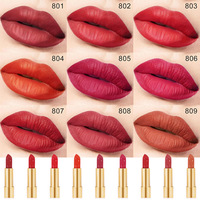 Marque privée Rouge à lèvres cosmétique mat sans cruauté nourrissant velouté longue durée mat