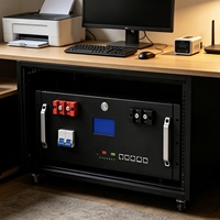 Batterie LiFePO4 modulaire 19 pouces pour rack, 200Ah 10.24kWh, longue durée de vie, sortie de câble frontale, prise en charge de 16 unités en parallèle, solaire