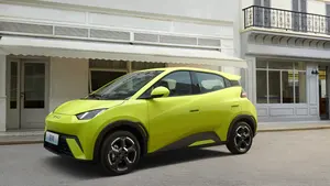 बायड सीगल मिनी प्योर इलेक्ट्रिक कार 4 व्हील इलेक्ट्रिक मिनी कार वयस्क नई ऊर्जा वाहनों के लिए ईवी सस्ती कार