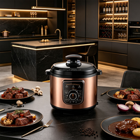 Cuisinière à pression électrique populaire de 5 L, décompression automatique, pot multifonction pour les repas quotidiens en famille