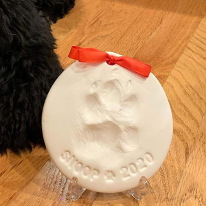Ensemble d'empreintes de pattes d'animaux en argile blanche, souvenirs faits à la main pour chats et chiens, ornements de décoration pour la maison, 2020 - Product Image 1