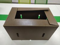 Boîte en carton personnalisée enduite de cire, caisse en carton ondulé imperméable enduite de cire pour le stockage à froid des légumes et des fruits de mer, préservation de la fraîcheur