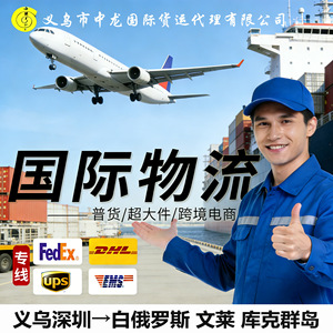 Zhonglong International Cross-border Logistics Lcl Express Chine vers la Jordanie Service de transport de fret international - Product Image 3