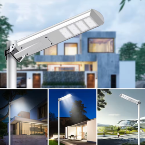 ไฟถนนพลังงานแสงอาทิตย์40W 60W 80W 100W สำหรับโรงเรียนมหาวิทยาลัยและ<span class=keywords><strong>สถาบัน</strong></span>การศึกษา - Product Image 4