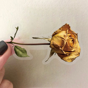 50 Stück PET wasserdicht transparent unfading getrocknete Rose Blumen aufkleber personal isierte Cartoon-Stil Cartoon-Aufkleber - Product Image 4