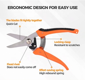 กรรไกรตัดกิ่งขนาด 7.5 นิ้ว ใบมีดคมแบบอุตสาหกรรม พร้อมสปริงในตัว ด้ามจับกันลื่น สำหรับตัดแต่งต้นไม้ผลไม้ <span class=keywords><strong>บอน</strong></span><span class=keywords><strong>ไซ</strong></span> พุ่มไม้ จำนวนมาก - Product Image 5