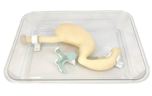Simulateur de système gastroduodénal et biliaire pour l'enseignement de la science médicale, modèle de formation à l'opération gastroscopique, modèle de formation ERCP - Product Image 3