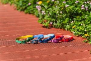 Verstelbare Luxe Hondenhalsband 40-60Cm Reizen Waterdichte Hondenkleding Pvc-Materiaal Schokabsorberende Hondenhalsband Eu-Compliant - Product Image 6