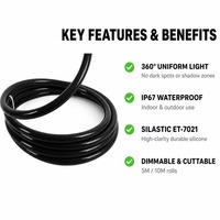 Bande LED néon flexible à 360 degrés, noir et blanc, IP67, silicone, DMX RGB/RGBW, programmable, lumière néon pleine couleur