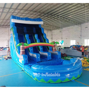 Tốt nhất người bán Inflatable cây cọ trượt nước cầu vồng Ngoài Trời Màu xanh đôi Lane trượt nước với hồ bơi cho sân chơi chơi - Product Image 2