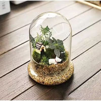 Décoration Vase Terrarium Dôme En Verre avec Base pour Intérieur et Extérieur DIY Nature Plante Mousse