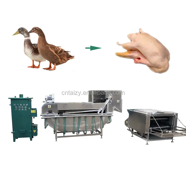Máquina de enrolamento de pena de galinha automática grande