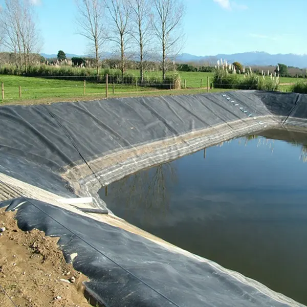 Dighe sterili, tamponi di lisciviazione del cumulo, stagni di lavaggio e di stoccaggio dell'acqua impermeabili in hdpe geomembrana in 2 mm 2.2mm