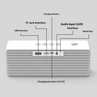 Midiplus Speaker Bluetooth portabel, Soundbox kecil Desktop nirkabel dengan lampu LED RGB dan mikrofon untuk penggunaan pesta rumah