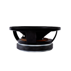 Woofer Professionale <span class=keywords><strong>B</strong></span>&C Speaker 10MD26 da 10" Mid-Bass Super Potente con Bobina Mobile da 3 Pollici e 700 Watt per PA - Product Image 4