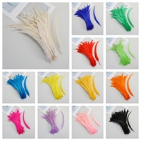 Plumes de coq en gros, plumes de Gallo, teinture personnalisée, plumes de queue de coq pour le Mardi Gras, plumes de fête, décoration, artisanat, bricolage