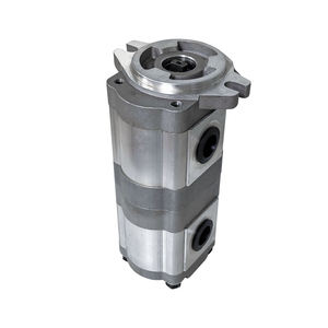 مضخة تروس أوتوماتيكية مزدوجة من مرحلتين Lifthydrau مضخة تروس مزدوجة ماكينة تعبئة السوائل مضخة نقل كهربائية - Product Image 4