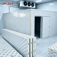 Panneau sandwich isolé pour chambre froide, pour chambre froide mobile, refroidisseur de viande, refroidisseur à eau, stockage hivernal