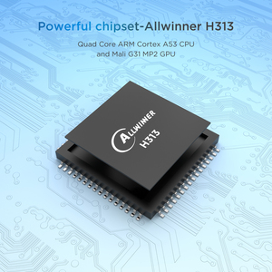 TANIX-Boîtier Intelligent Android Original, 2 Go, 16 Go, Allwinner, H313, Android 10, Wi-Fi, 4K, Tanix TX1 - Product Image 6