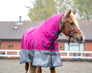 น้ำหนักเบาปานกลาง100G Turnout พรม600D มาตรฐานคอมโบกันน้ำพรมฤดูหนาว - Product Image 5