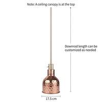 Lampe chauffante infrarouge rétractable pour aliments, chauffe-plats suspendu pour buffet, pizza, rôtis, usage commercial pour hôtels et restaurants
