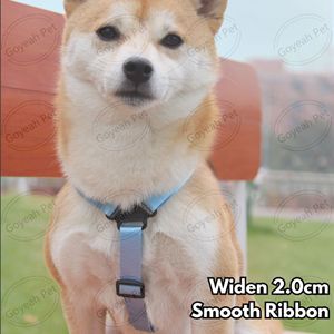 Arnés para Cachorros con Mochila de Color Contrastante, Arnés Ajustable para Gatos con Correa, Sin Tirones - Product Image 3