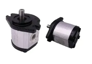 Nueva Bomba de Engranajes YL Original 2MM1B05-E 161114920 ALP2A-D-20-FG-MU PLP2014D08 - Product Image 4