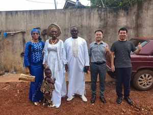 Subfábrica original Wg9981031313 rodamiento de rodillos cónicos Nx380 Dump Howo accesorios piezas de camión nueva condición - Product Image 2