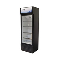 Réfrigérateur commercial de comptoir 330L pour bières et boissons, avec étagères réglables