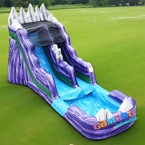 Toboggan aquatique gonflable personnalisé violet pour enfants et adultes, avec piscine, idéal pour les fêtes et la <span class=keywords><strong>location</strong></span> - Product Image 3