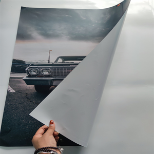 <span class=keywords><strong>Impression</strong></span> en gros de posters personnalisés en vinyle et PP pour films, concerts, affiches promotionnelles, signalétique extérieure imperméable et décoration murale - Product Image 6