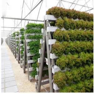 Producto estrella: Sistema hidropónico en forma de A con tubería plana y acero inoxidable para invernadero acuapónico - Product Image 2