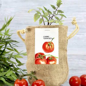Sacs de culture écologiques biodégradables en jute non tissé <span class=keywords><strong>pour</strong></span> tomates cerises, pots de plantes d'extérieur, kit complet <span class=keywords><strong>pour</strong></span> serre de culture intérieure toutes saisons - Product Image 2