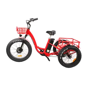 Triciclo de carga elétrica com garfo de aço 48V 500W pneu gordura e trike com pedal para venda