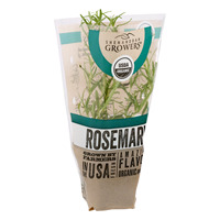 Sachet Doypack en CPP micro-perforé recyclable pour le stockage de légumes et de laitues, emballage alimentaire en plastique