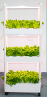 Système de jardinage hydroponique vertical intérieur à trois étages, vente directe du fabricant, idéal pour la culture domestique avec pompe de plantation