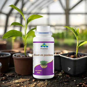 Nianhui Fertilizzante <span class=keywords><strong>Liquido</strong></span> Speciale per Arachidi, Formula Concentrata 500mL, Accelera la Crescita e Favorisce la Germinazione - Product Image 2