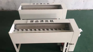 <b>Mini</b> Egg Washing Machine Easy to Operate Chicken Egg Cleaning Machine Small Scale Egg Washer for Catering Chains - Product Image 2