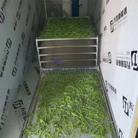 Machine de séchage à pompe à chaleur pour feuille de laurier thym ensilage feuilles de thé à la menthe poivrée sécheur déshydrateur