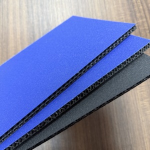 Lamelle en polypropylène alvéolaire de 13 mm pour étuis de transport, surface plastique rugueuse, pour boîte ATA - Product Image 1